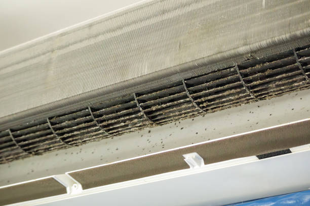 Best Commercial Air Duct Cleaning  in Compton, CA